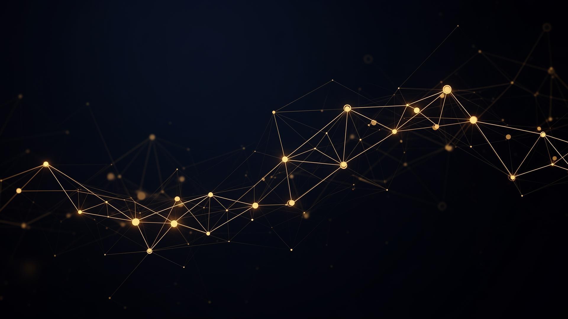 Institutional connectivity network